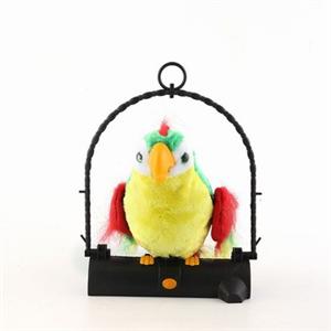 Little parrot