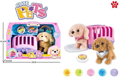 Cute pet house