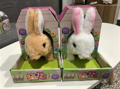 Cute rabbit