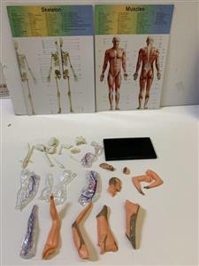 doctor tools