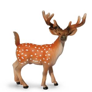 Male sika deer