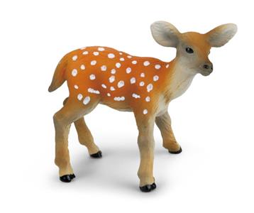 Sika deer cub