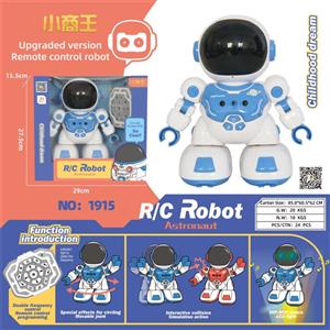 Space police remote control robot