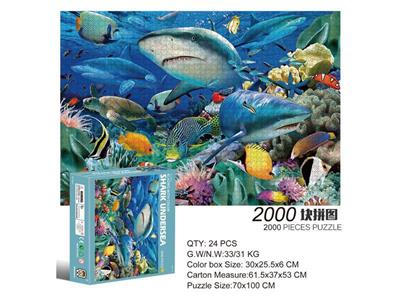 2000片方形拼图-鲨鱼