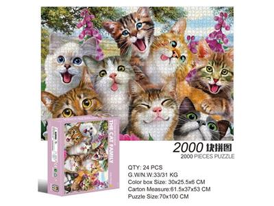 2000片方形拼图-猫猫家族