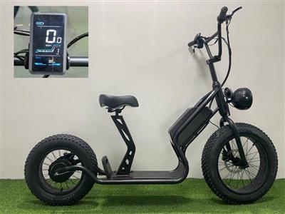 EB16 48V12.5AH 可拆卸式电池