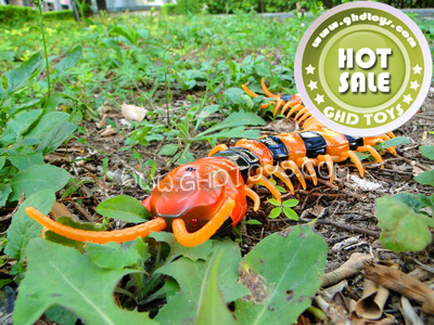 Infrared remote control the centipede