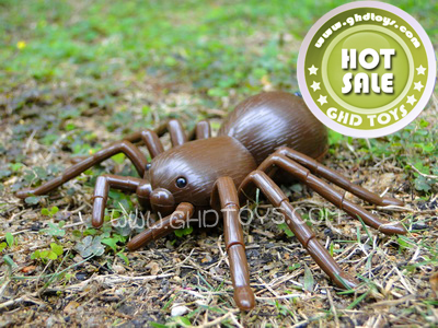 R/C SPIDER